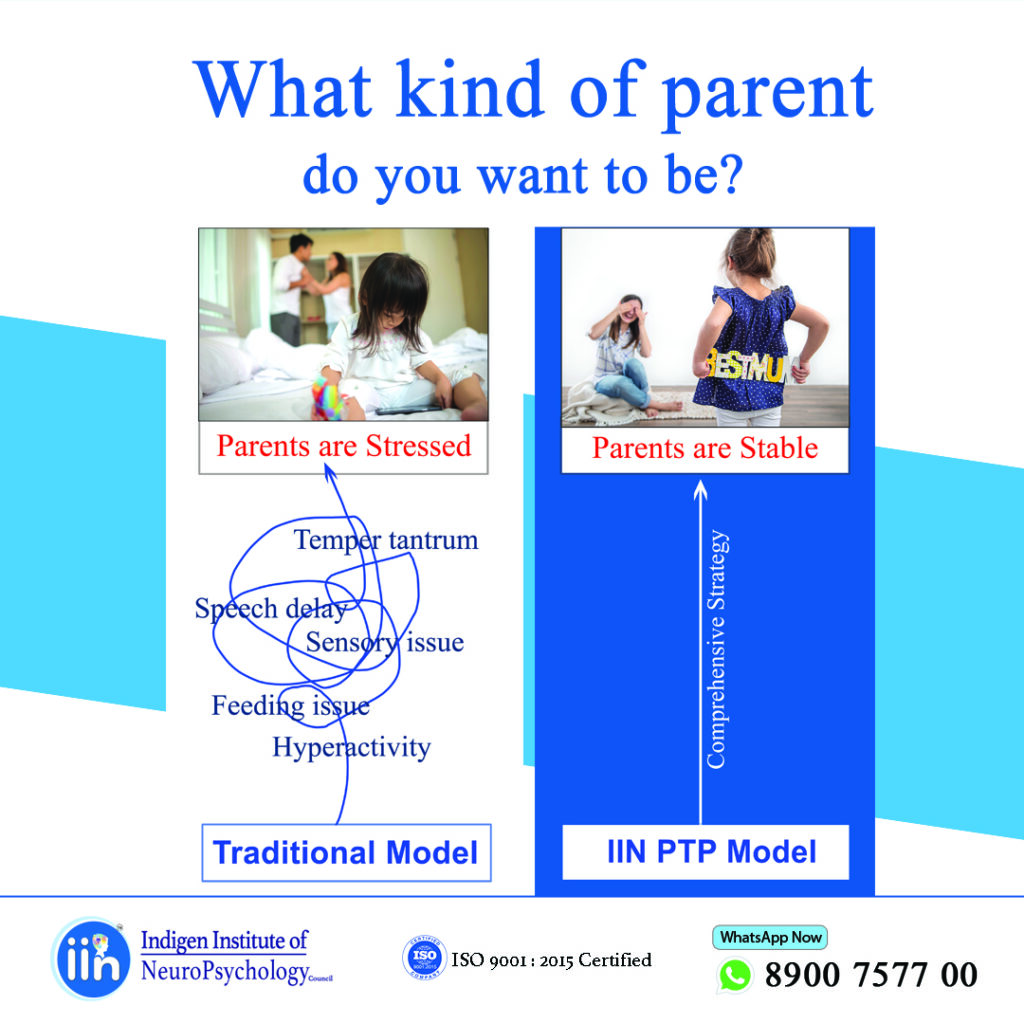 IIN PTP-Standard (Entirely Online)